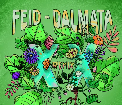 Feid se une a Dalmata en su nuevo sencillo Xx Remix.